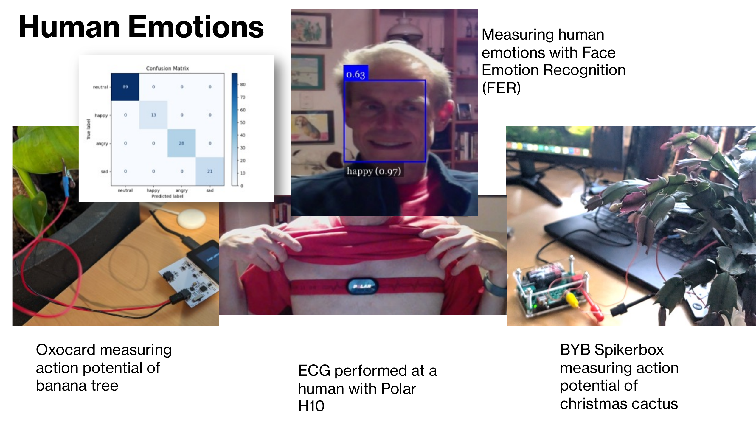 Experimental setup: a person beside a plant with a sensor